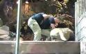 Λιοντάρι επιτίθεται στον εκπαιδευτή του! [video]