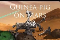 Mars Rover Curiosity Image: '' ινδικό χοιρίδιο'' στον Άρη?