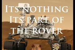 Mars Rover Curiosity Image: '' ινδικό χοιρίδιο'' στον Άρη?