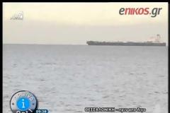 Δελφίνια στον Θερμαϊκό! (Video)