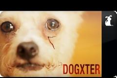 Πώς θα ήταν αν ο Dexter γινόταν Dogster και πρωταγωνιστής ήταν ένας σκύλος; [Video]