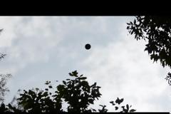 Μαύρο UFO αιωρείται πανο απο το τροπικό  δασός στην  Βραζιλία, Νοέμβριος 2012.