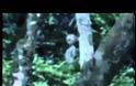 Μαύρο UFO αιωρείται πανο απο το τροπικό  δασός στην  Βραζιλία, Νοέμβριος 2012.