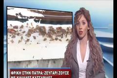 Πάτρα: Ζούσαν ανάμεσα σε χιλιάδες κατσαρίδες - BINTEO