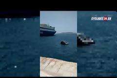 Απίστευτες εικόνες: Smartακι «βούτηξε» στη θάλασσα! (ΒΙΝΤΕΟ)