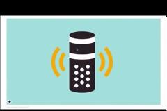 Don't Be An Idiot! Get Rid of Alexa!