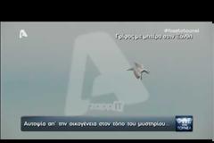 Μυστηριώδης θάνατος γυναίκας στην Ξάνθη: Ήθελε να αγοράσει πιστόλι... – Τι λένε οι γιοι και η φίλη της… [video]