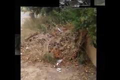 ΑΡΤΕΜΙΔΑ: ΚΑΤΟΙΚΟΣ ΚΑΤΑΓΓΕΛΕΙ ΚΑΤΑΣΤΡΟΦΙΚΗ ΑΔΙΑΦΟΡΙΑ (Video)