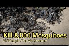Το φοβερό κόλπο με τον ανεμιστήρα για να εξοντώσετε εκατοντάδες κουνούπια σε μια νύχτα [video]