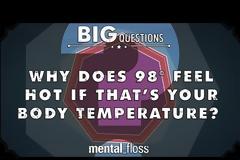 Ζέστη: Γιατί όταν έχει πάνω από 30°C “σκάμε”, ενώ η εσωτερική μας θερμοκρασία είναι 36°C [video]