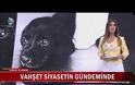 Η βάναυση κακοποίηση ενός κουταβιού σόκαρε την Τουρκία και άλλαξε την πολιτική ατζέντα των εκλογών - Σκληρές εικόνες