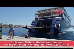 Δεν ξανάγινε! Σκύλος - καβοδέτης αφήνει άφωνους τους τουρίστες στο λιμάνι της Μυκόνου! [video]