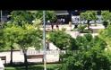 Λαμία: Έπεσε πάλι ξύλο στην πλατεία Πάρκου (ΒΙΝΤΕΟ-ΦΩΤΟ)