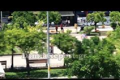 Λαμία: Έπεσε πάλι ξύλο στην πλατεία Πάρκου (ΒΙΝΤΕΟ-ΦΩΤΟ)