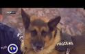 Αστυνομικοί σκύλοι εισέβαλαν στην εκπομπή της ΠΟΑΣΥ