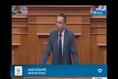 Ηλίας Κασιδιάρης από το βήμα της βουλής: «30 χρόνια εξορία στην Μακρόνησο Τσίπρας-Καμμένος» [Βίντεο]