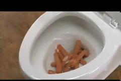 Έριξε λουκάνικα στην λεκάνη της τουαλέτας για να σας δείξει κάτι... Θεϊκό αποτέλεσμα! [video]