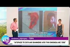 Μεταφέρθηκε στη Χαλκίδα και υιοθετήθηκε το «κόκκινο» κουτάβι! (ΦΩΤΟ & ΒΙΝΤΕΟ)