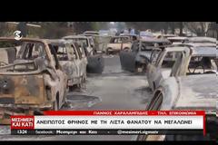 ΕΙΣΑΓΓΕΛΙΚΗ ΕΡΕΥΝΑ ΓΙΑ ΤΗ ΦΟΝΙΚΗ ΠΥΡΚΑΓΙΑ ΣΤΗΝ ΑΤΤΙΚΗ