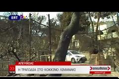 ΕΝΗΜΕΡΩΣΗ ΑΠΟ ΤΗΝ ΠΥΡΟΣΒΕΣΤΙΚΗ