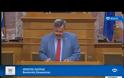 Νέος χαμός στη Βουλή με τη Χρυσή Αυγή - Απίστευτες προκλήσεις Παππά για Μακρόνησο και… κοινωνική εργασία