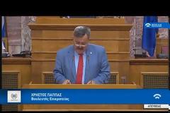 Νέος χαμός στη Βουλή με τη Χρυσή Αυγή - Απίστευτες προκλήσεις Παππά για Μακρόνησο και… κοινωνική εργασία