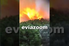 Εύβοια: Μεγάλη φωτιά στο Κοντοδεσπότι - Εκκενώνονται χωριά - Μια «ανάσα» από τα σπίτια οι φλόγες! (ΦΩΤΟ & ΒΙΝΤΕΟ)