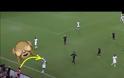 Το ball boy έκανε...δύσκολη τη ζωή του παίκτη