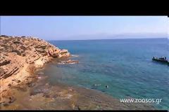 ΣΚΛΗΡΕΣ ΕΙΚΟΝΕΣ - Φρίκη! Πνιγμένος σκύλος με πέτρα στο λαιμό, πεταμένος από γκρεμό βρέθηκε στον Αμπελά