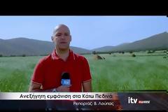 ΣΟΚ: Δελτίο ειδήσεων διακόπτεται όταν κοπέλα πέφτει από τον ουρανό και καταγράφηκε ζωντανά! [video]