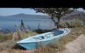 Νυχτερίδες κι αράχνες στο Αιτωλικό (φωτο- video)