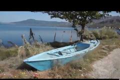 Νυχτερίδες κι αράχνες στο Αιτωλικό (φωτο- video)