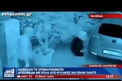 Βατώντας: Ληστές εισέβαλαν στη πτηνοτροφική μονάδα «Μιμίκος» (ΒΙΝΤΕΟ)