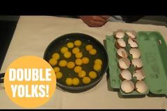 Κατάφερε κάτι που συμβαίνει 1 φορά στο... ένα ενδεκάκις εκατομμύριο [video]