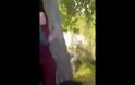 Δεν έχετε ξαναδεί κάτι τέτοιο! Γυναίκα κόλλησε μέσα σε... δέντρο! [video]