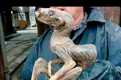 ΑΠΙΣΤΕΥΤΟ! Βρέθηκε αυτό το περίεργο πλάσμα στην Γιακουτία και λέγεται ότι είναι... [video]