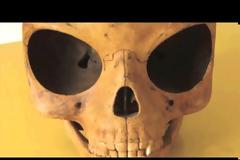 Απίστευτο! Δείτε τι βρέθηκε στη Δανία [video]