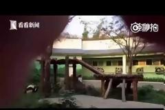 Τι έπαθε άνδρας ο οποίος έκανε το λάθος να ξυπνήσει ένα πάντα που κοιμόταν [video]