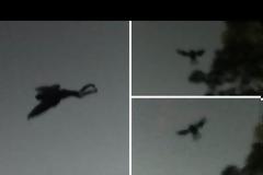 Δεν έχετε ξαναδεί κάτι τέτοιο! Οι ιστορίες πίσω από αυτό το σκοτεινό ανθρωποειδές πλάσμα θα σας ΣΟΚΑΡΟΥΝ!