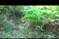 11103 - Το μονοπάτι από το Κελλί Μολυβοκκλησιά μέχρι το Κελλί Μαρουδά (βίντεο)