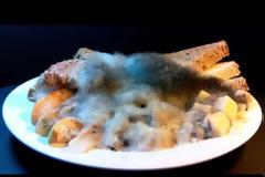 Πώς αναπτύσσεται μούχλα στις τροφές – Ποιες πετάμε και ποιες… σώζονται [video]