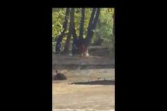 Ο 27χρονος Γιάννης Τσιλιχράνος περιγράφει πως σώθηκε από τον χείμαρρο στο Μαντούδι - «Ήταν σαν ταινία θρίλερ...»! (ΦΩΤΟ & ΒΙΝΤΕΟ)