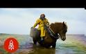 Ψάρεμα γαρίδας με άλογο! [video]
