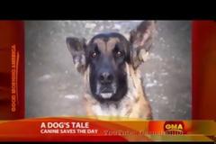 Ένας αστυνομικός είδε ένα σκυλί στη μέση του πουθενά και το ακολούθησε - Δείτε που τον οδήγησε