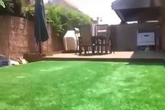 Ο πιο καλός… φοροφυγάς! Δεν θα πιστεύετε στα μάτια σας... [video]