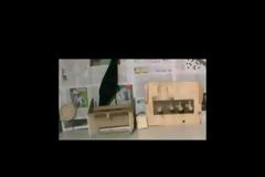 Η επιστήμη δικαιώνει τον Αίσωπο για την ευφυΐα των κορακιών