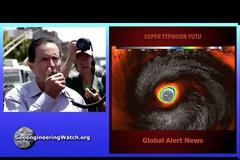 What’s Happening To Trees - The Planet’s “Lungs”?