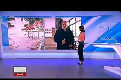 Εικόνες καταστροφής σε Πολυτεχνείο και ΑΠΘ (Βίντεο)