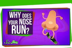 Οι λόγοι για τους οποίους η μύτη σας τρέχει παρόλο που δεν είστε άρρωστοι
