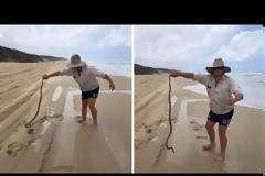 Με γυμνά χέρια άρπαξε ένα δηλητηριώδες φίδι ένας μεθυσμένος